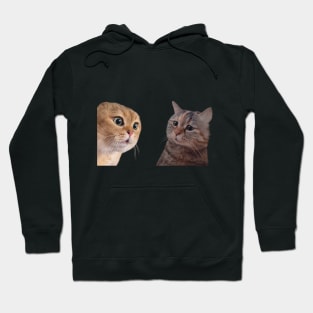 Cat couple meme Hoodie